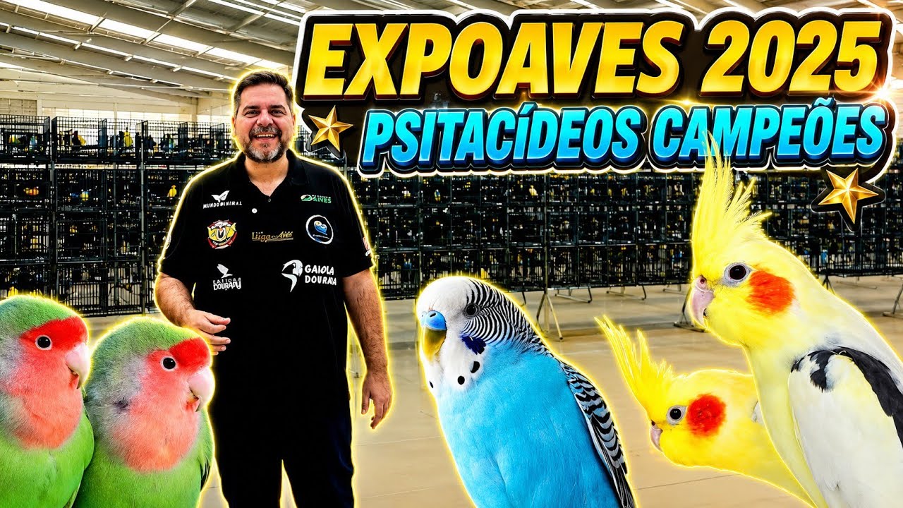 Exposição de Aves da FOB: Conheça os Psitacídeos Campeões de 2025