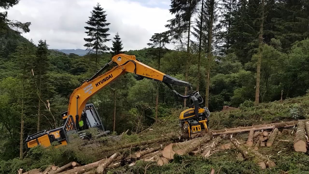 Ponsse Hyundai Excavator Conversion
