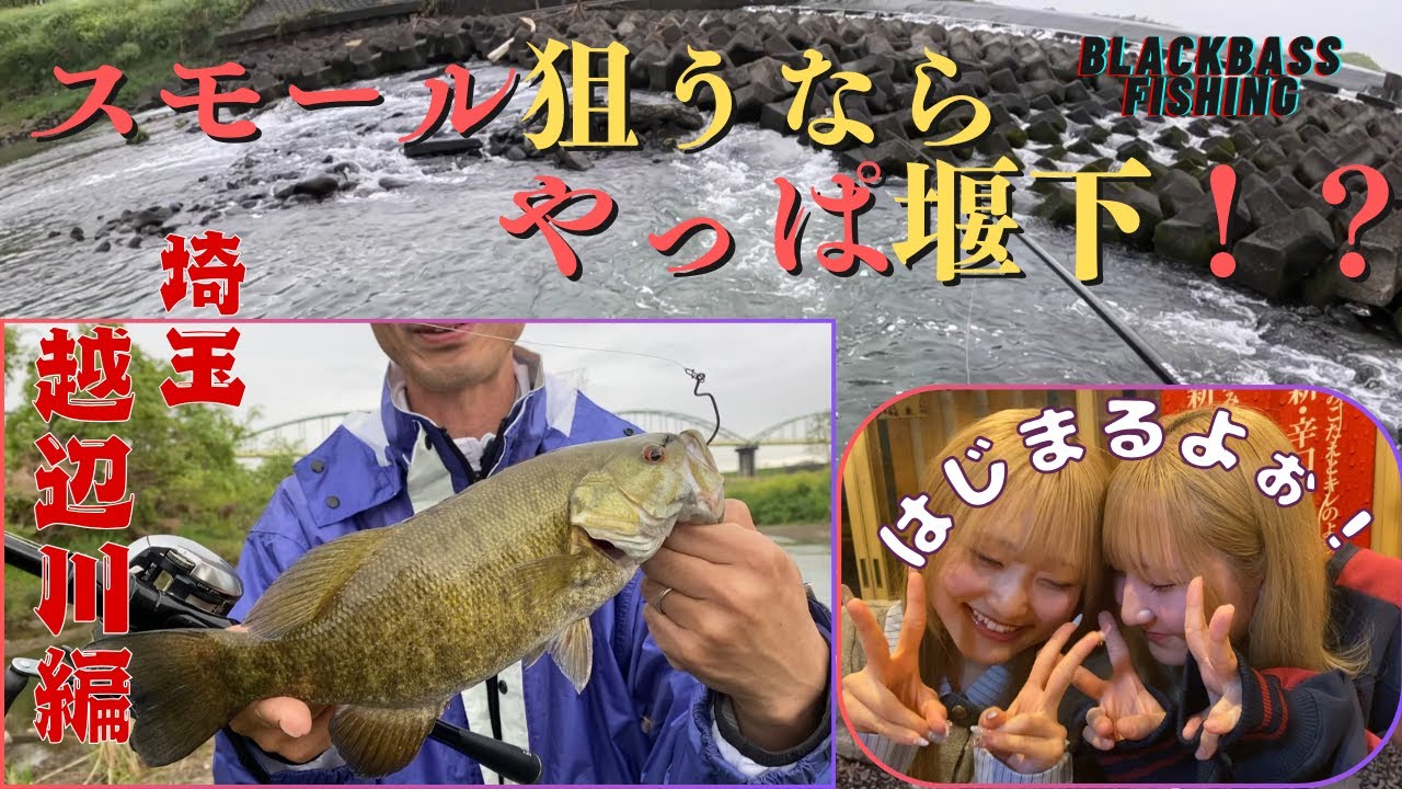 簡単！？堰下でスモールマウスバスを狙う！埼玉越辺川釣行。投げまくれ！数打ちゃ当たる！？ブラックバス釣り。bassfishing/blackbass/Oppe river Saitama
