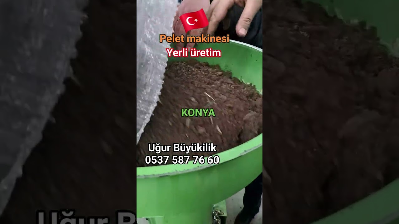 17 Şubat 2026