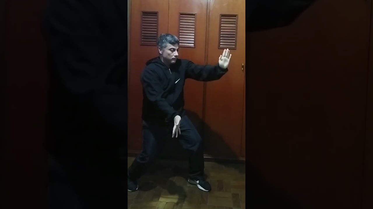 Bak Mei Pai / Hakka Kung Fu