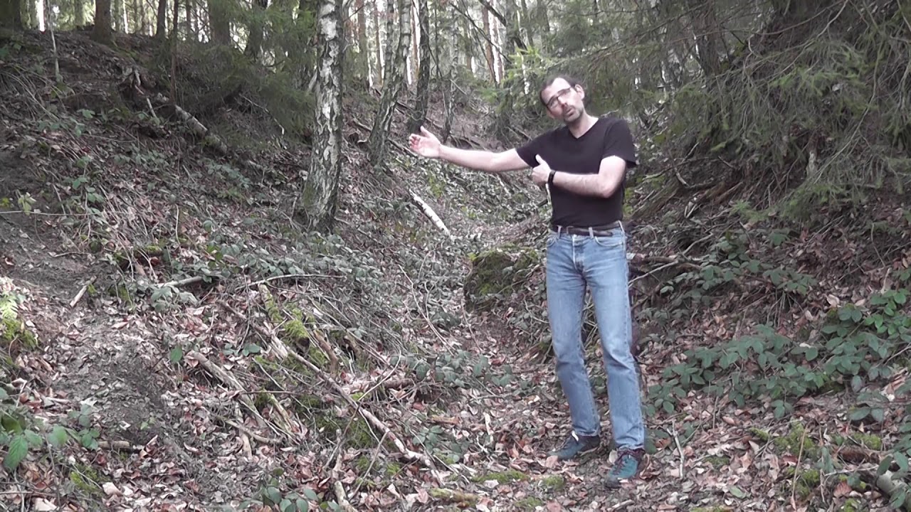 Hohlwege