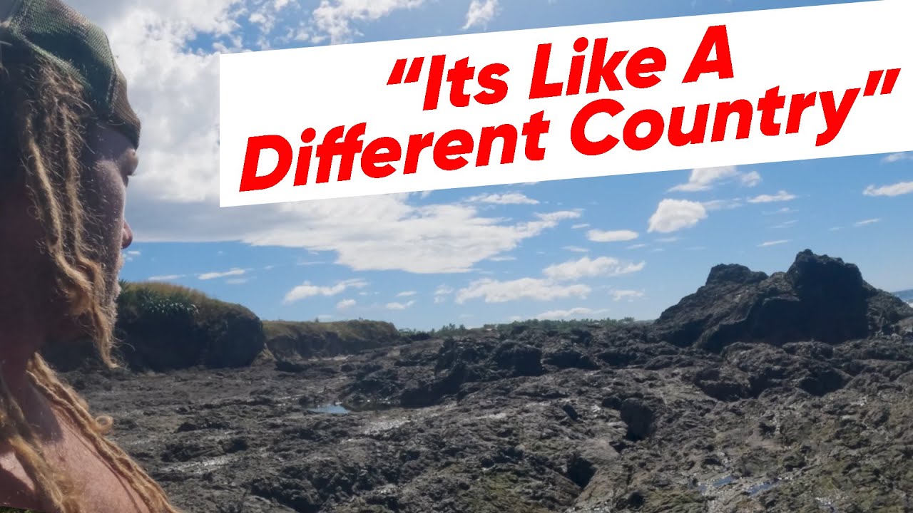 Однодневная поездка в Гуанакасте | Жизнь в Коста-Рике #costarica