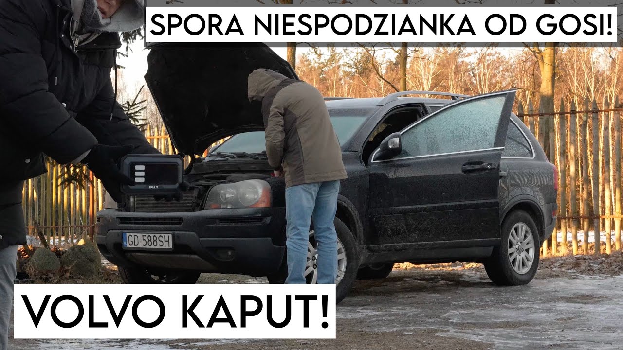 MEGA PREZENT od Gosi!! Planuję odzysk materiału z lasu.