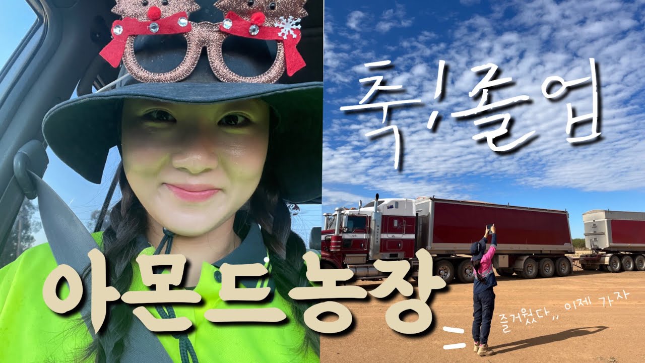 호주 워홀 농장이라면 여기지! 1년 만에 아몬드농장 졸업쓰..!  🥜
