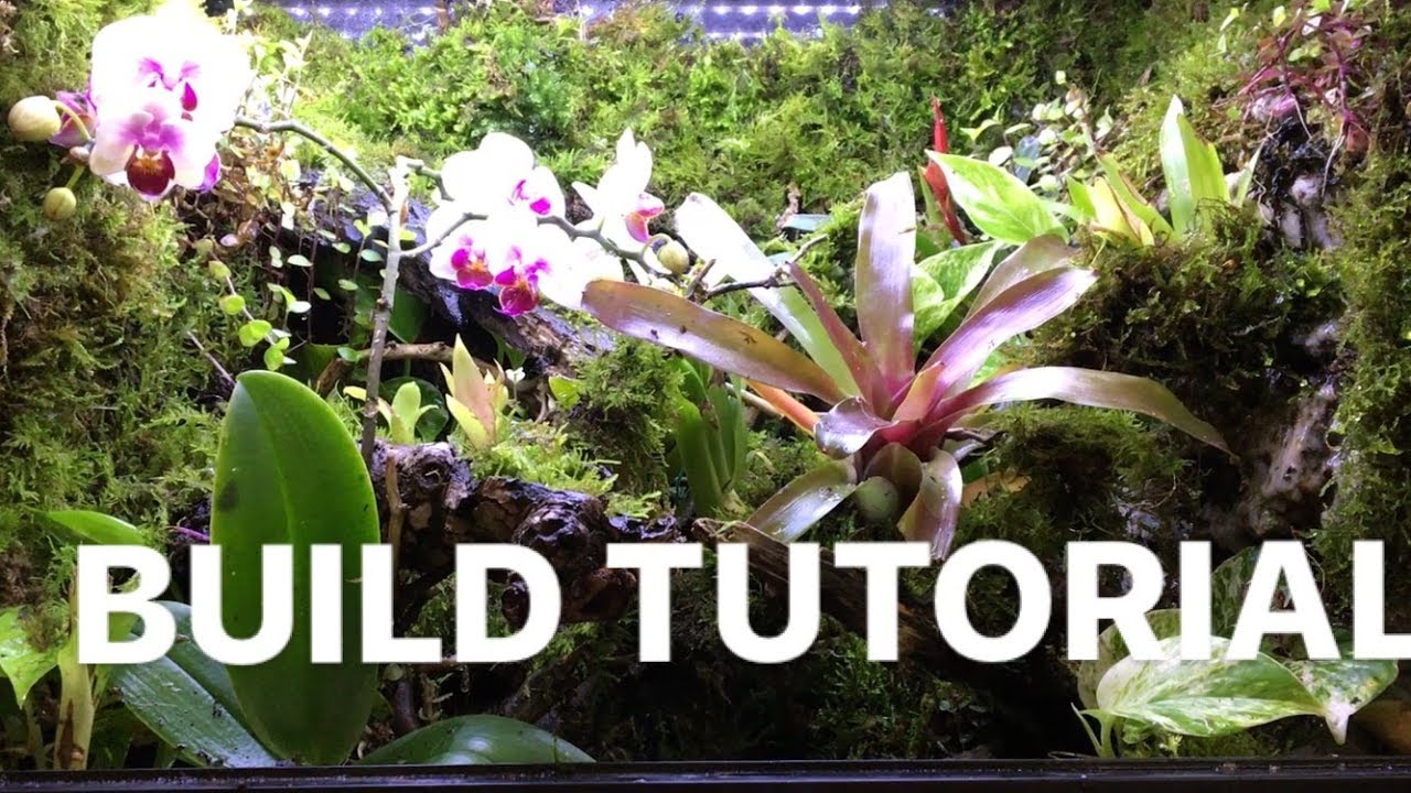 Dart Frog Terrarium Build Tutorial - Moss, Stream, Pond, Waterfall, Plants, False Bottom, Bioactive