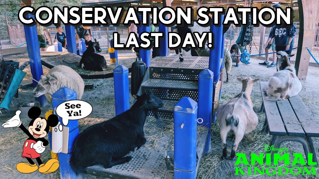 Disney's Animal Kingdom Conservation Station | Final Day 2026 