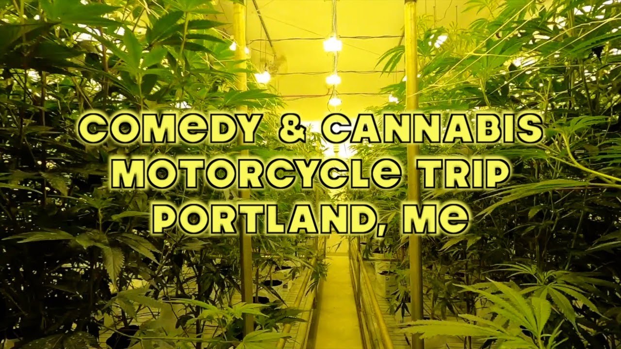 COMEDY AND CANNABIS - Motorcycle Trip 🤘High times in Portland Maine😶‍🌫️