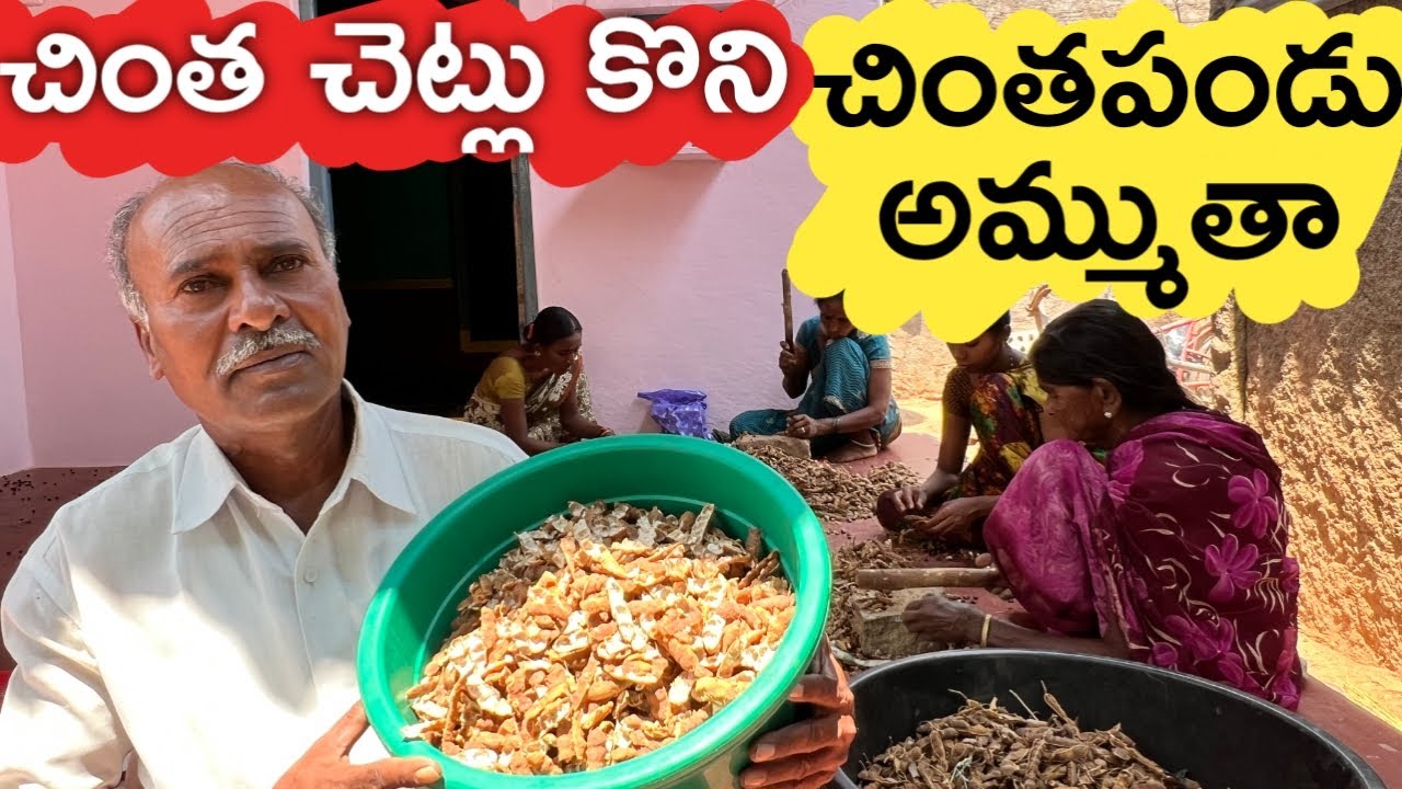 చింత చెట్లు కొంటాం.. చింతపండు అమ్ముతాం | Tamarind Farmer | రైతు బడి