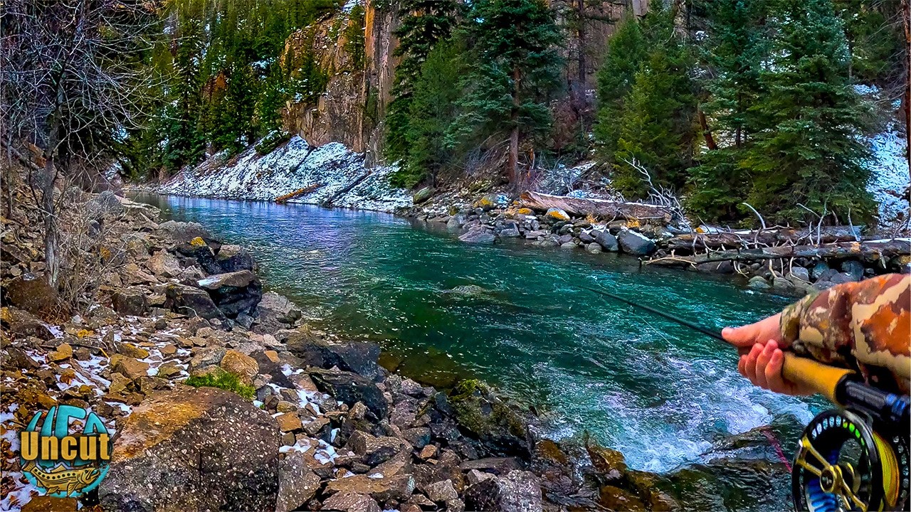 Fly Fishing a Beautiful Mountain River for Trout! (Streamer fishing)