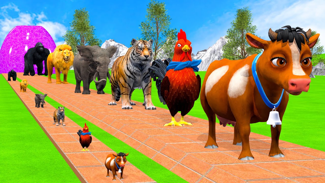 Long Slide Game With Cow Elephant Gorilla Hippopotamus Tiger 3d Animal Game Funny 3d Animals