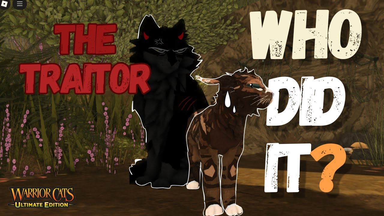 I RP'd as an apprentice in WCUE&hellip; The Clan Has a Traitor!
