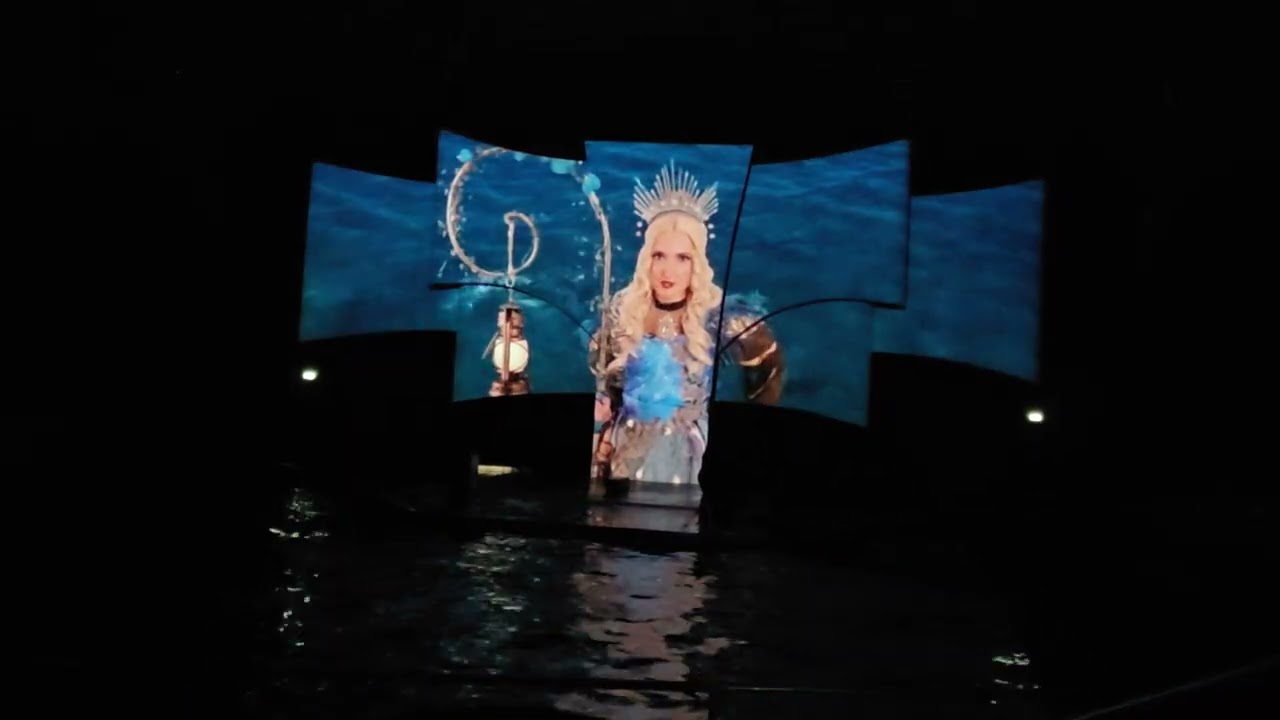 Dolfinarium: lights of nature lumina's winterreis