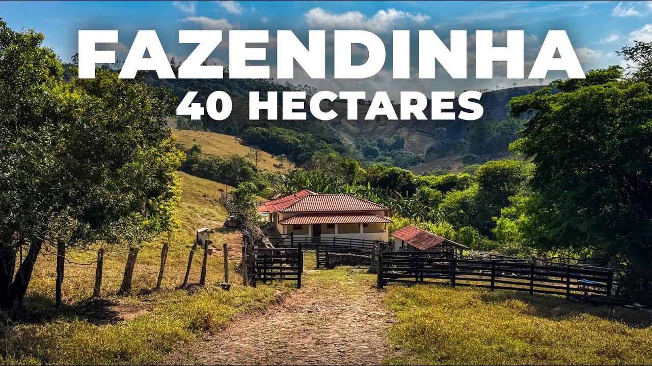FAZENDINHA 40 HECTARES, LOCAL PRIVILEGIADO, MUITA ÁGUA, IDEAL PARA PECUÁRIA | R$ 1.700.000,00