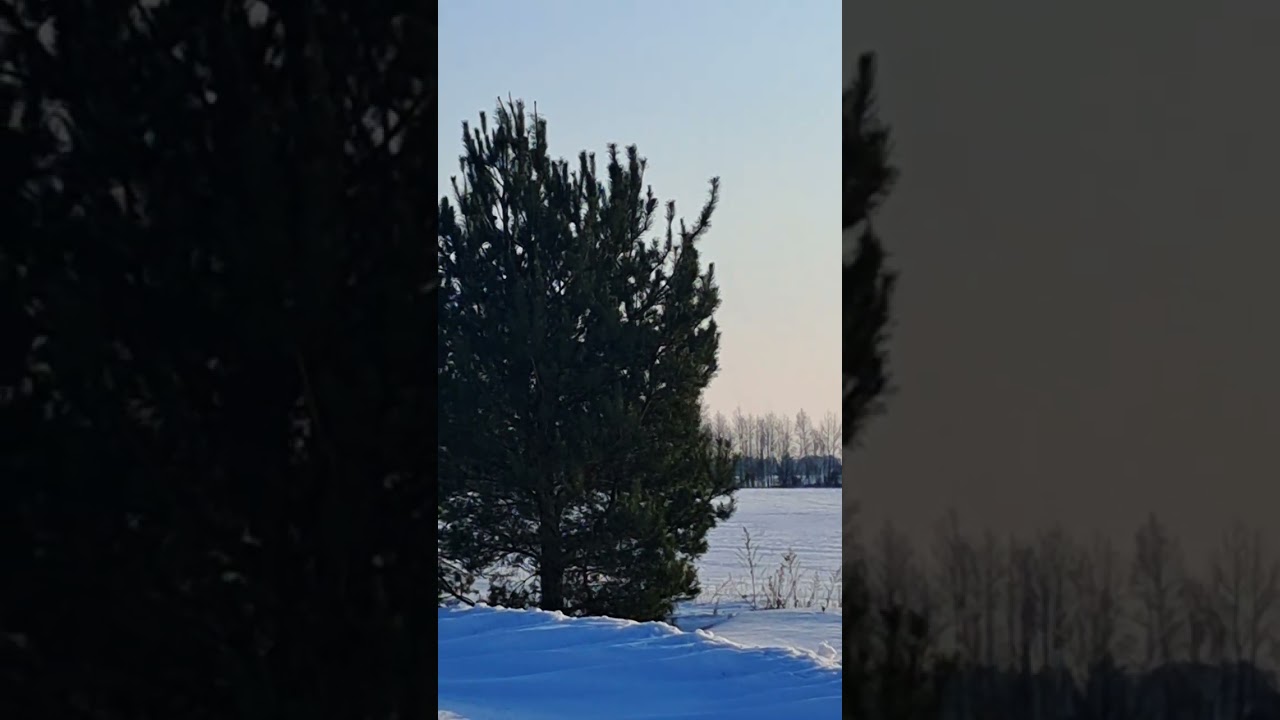 @.Берегите друг друга. 