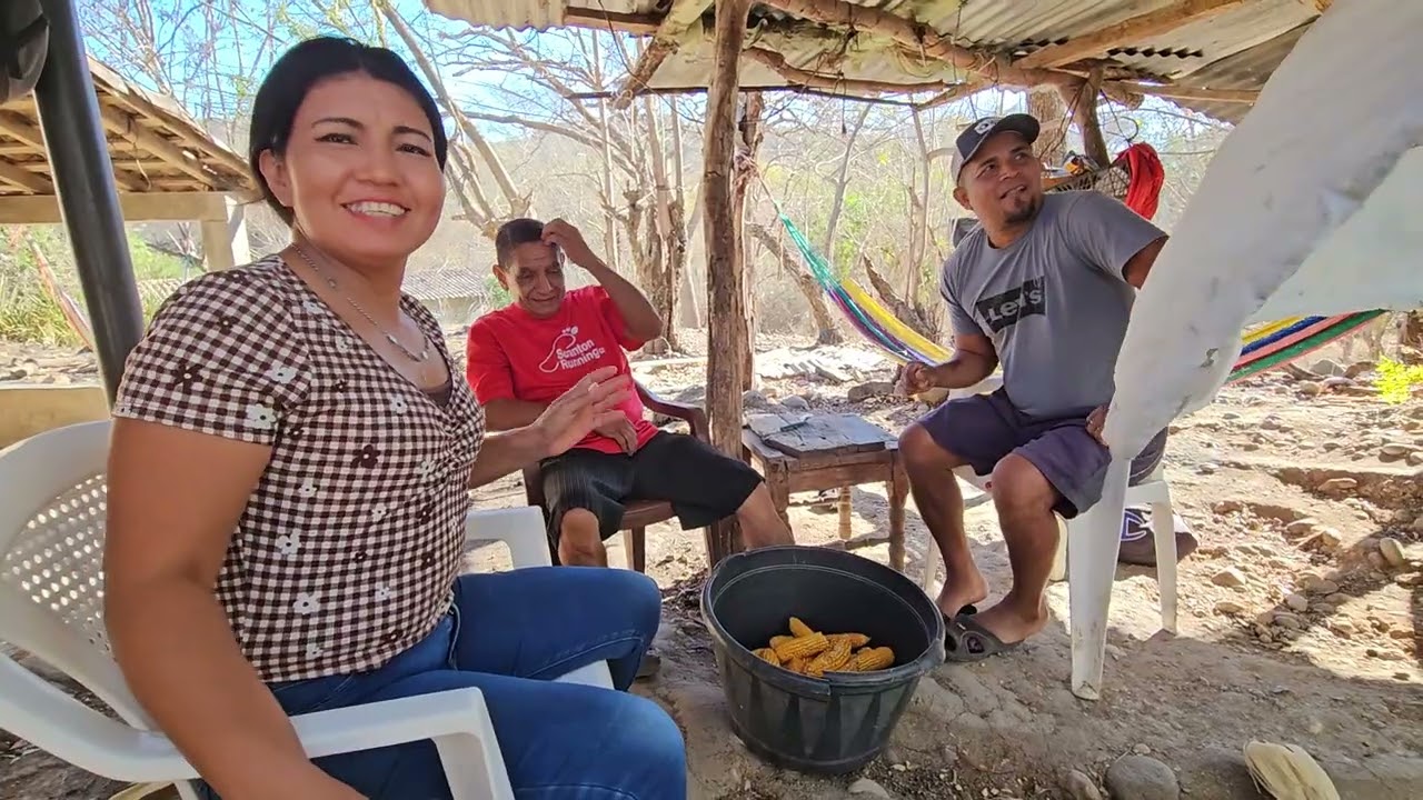 DESGRANADO MAIZ Y MAICILLO CON LA MEJOR CALIDAD 🌽🔥 #desgranadoras #desgranar #maiz #elsalvador