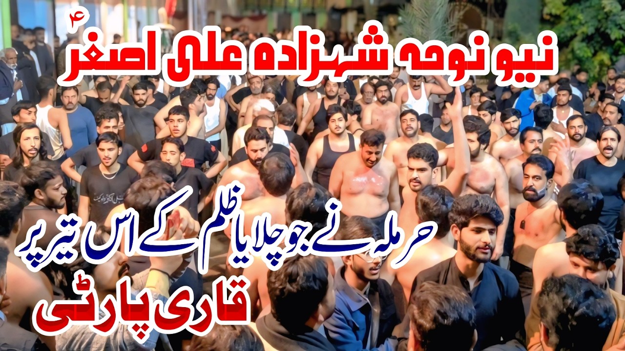 New Noha Shahzada Ali Asgher as - #qari #party #newnoha #karwan - #muharamstatus 