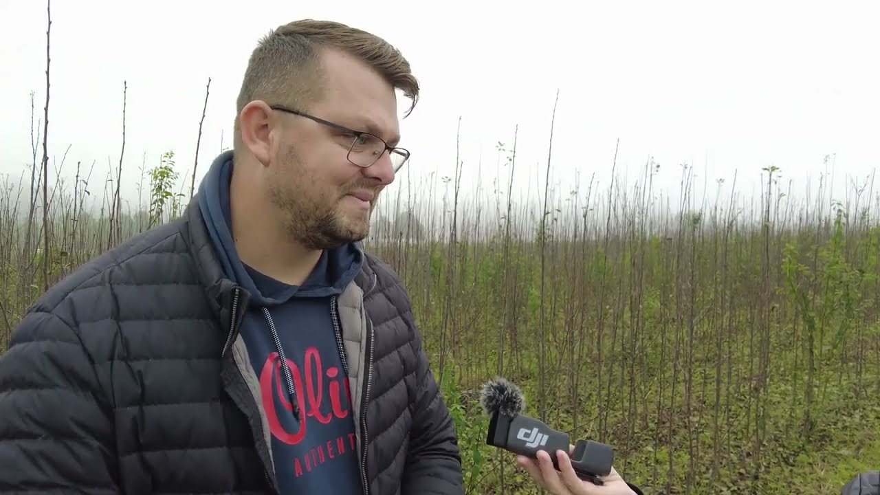 Bogat izbor sadnica u voćnom rasadniku u Špionici. Najtraženija šljiva.