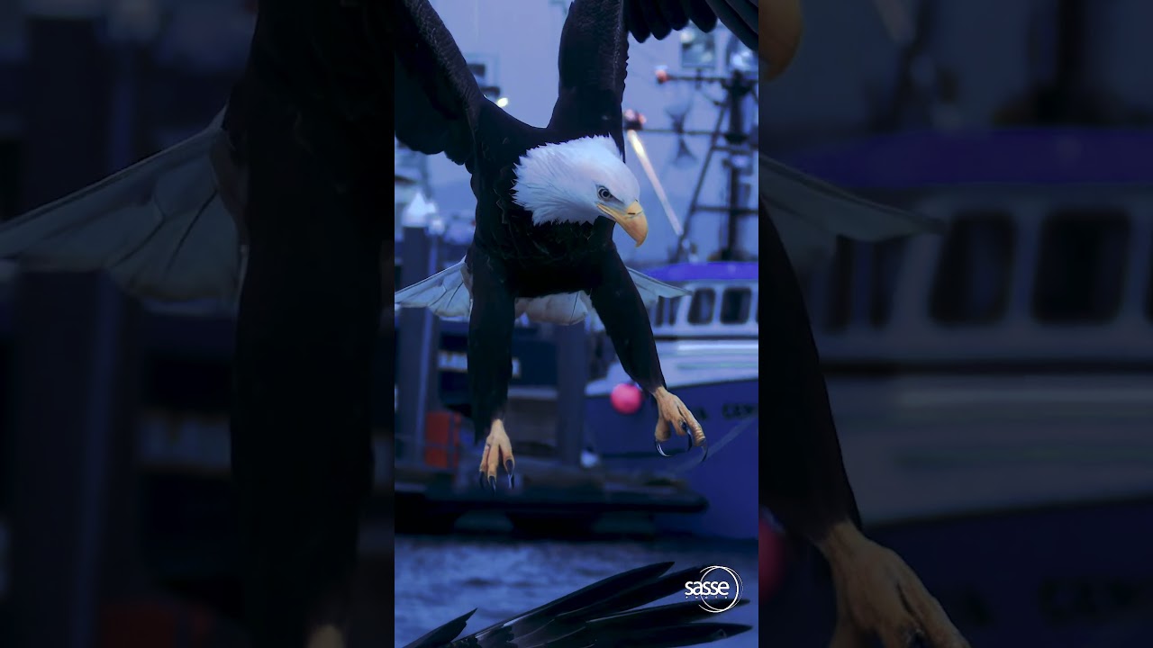 Talons - Amazing high wind  Eagle Landing in super Slomo