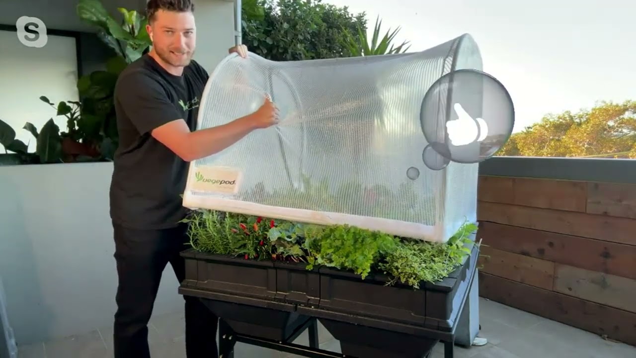 Vegepod Self Watering Raised Garden Bed with Cover on QVC