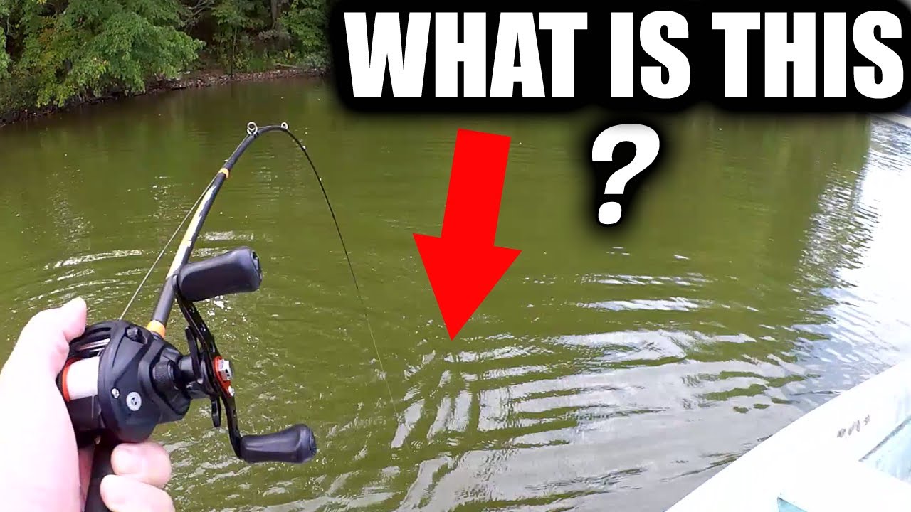 Surprising Fish Catch on a YUM Dinger! Bass Fishing Surprise Catch