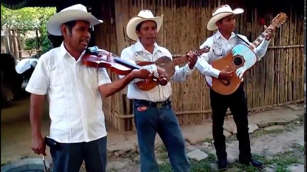Mi cafetal - Trio Placer Huasteco