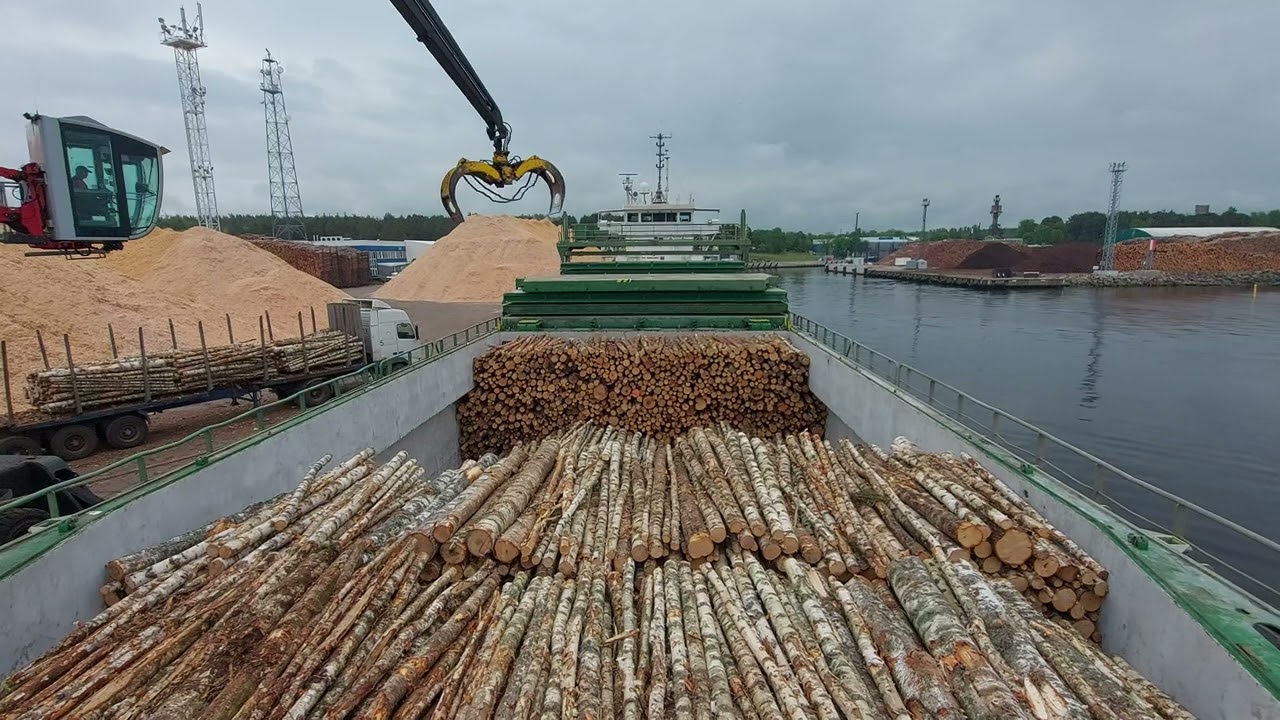 TIMBER CARGO-Loading At Port Of Skulte Latvia