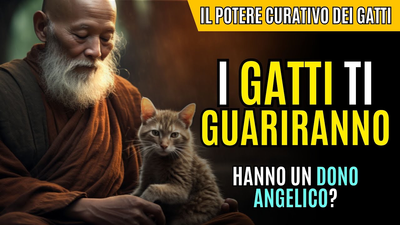 🐱I GATTI HANNO UN POTERE ANGELICO🐾✨ |Come I GATTI Possono GUARIRTTI | Significato SPIRITUALE Gatti