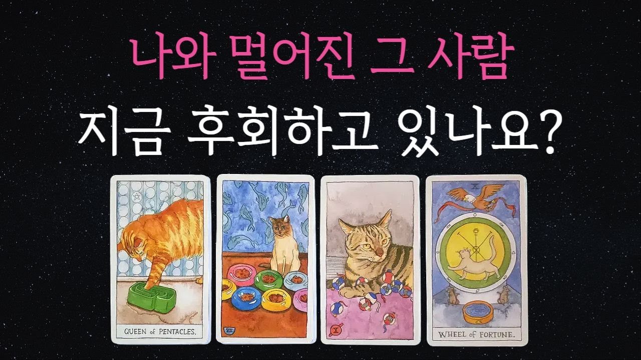 [타로💘]🔮멀어진 그사람!! 지금 후회하고 있나요?🌷관계흐름 🔥재회,썸, #재회운 #연락운 #연락시기