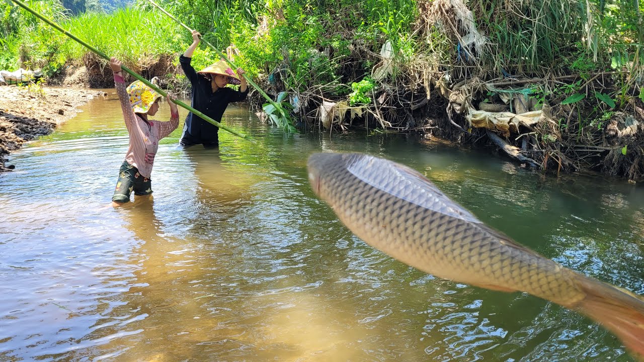 Meet many big fish in puddle with many hidden caves. The girl uses ancient tools. Fish trap