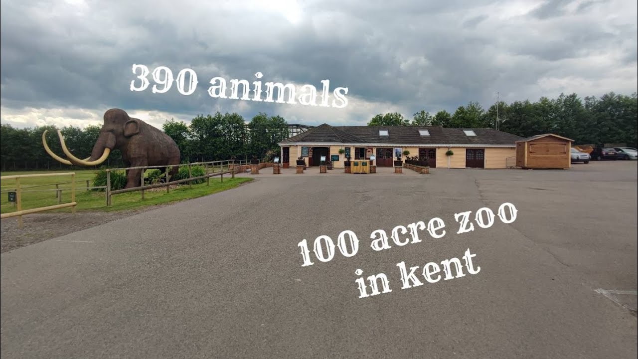 howletts wild animal park UK