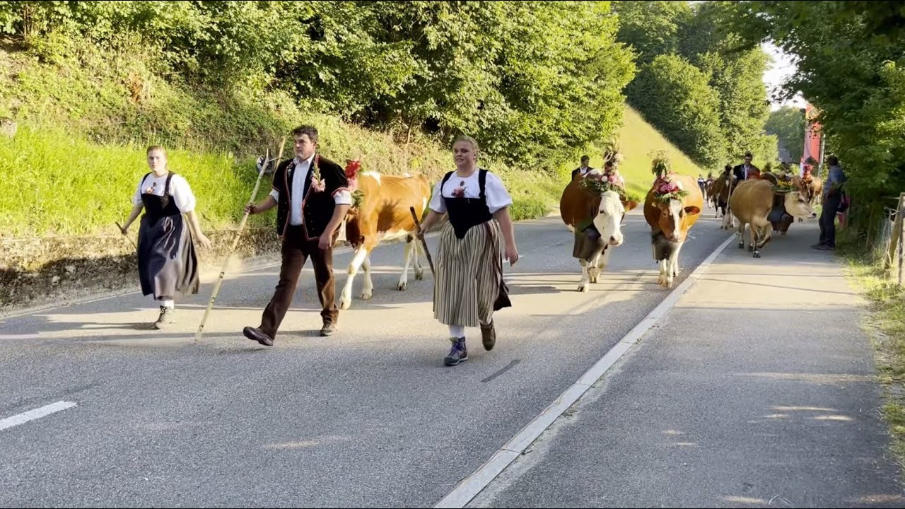 Dorffest Heimiswil – Der Alpabzug des Viehzuchtvereins Heimiswil
