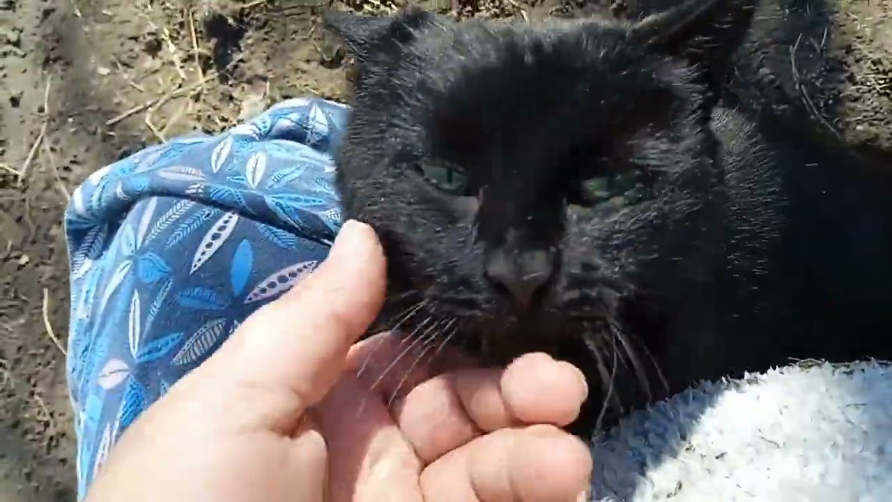 Вот чем мы занимаемся в эти дни