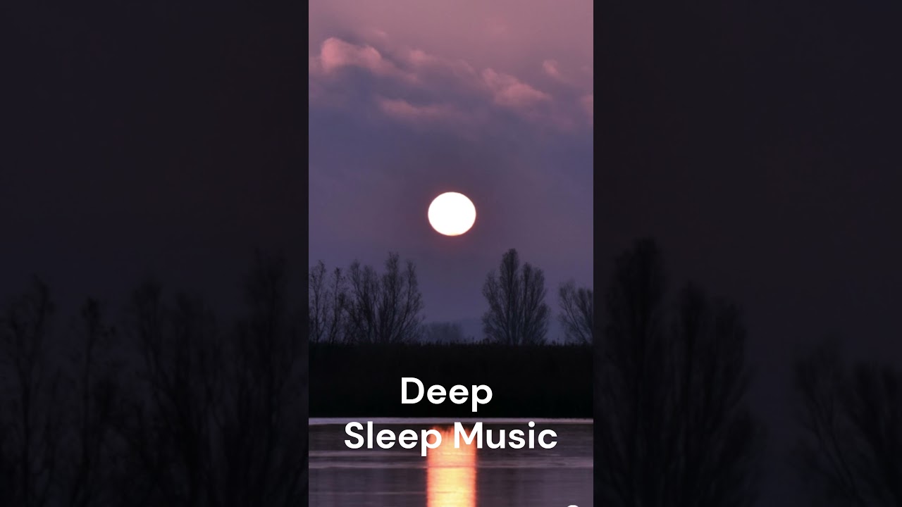 Relaxation & Zen Deep Sleep Music – Deep Sleep Therapy💤  