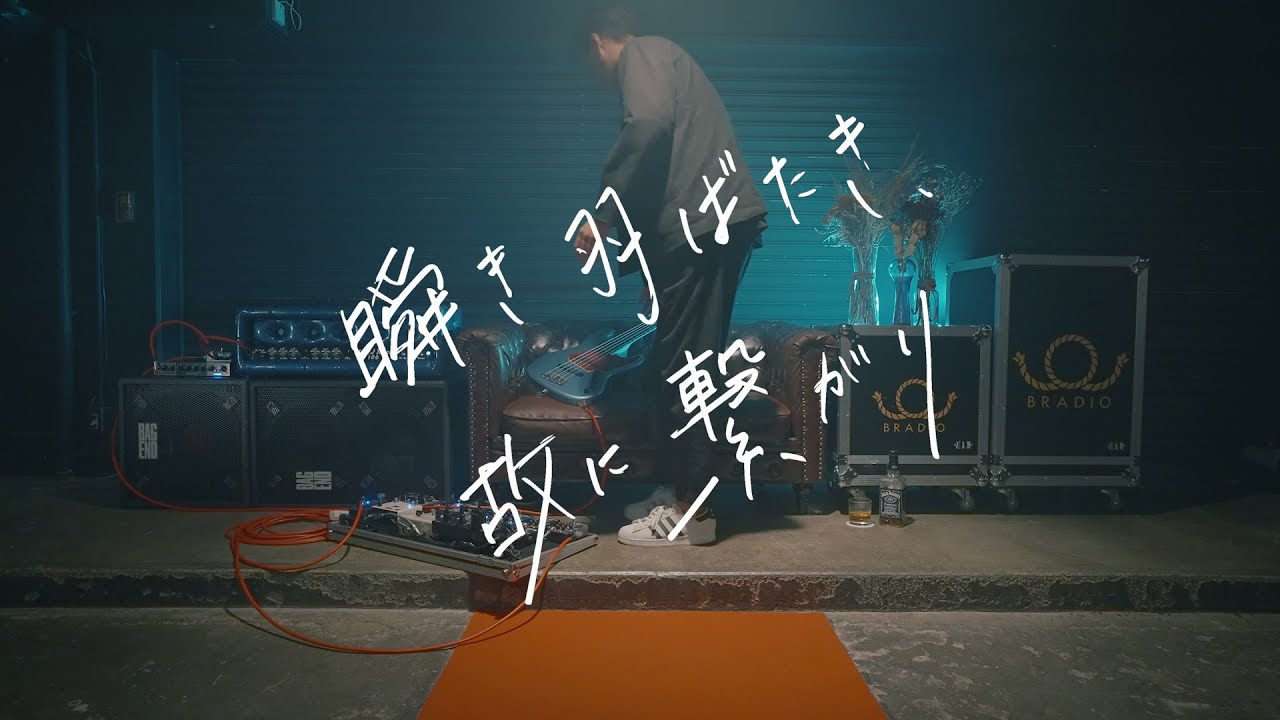 BRADIO - 瞬き羽ばたき、故に繋がり(Alleva-Coppolo LG5 Bass play movie)