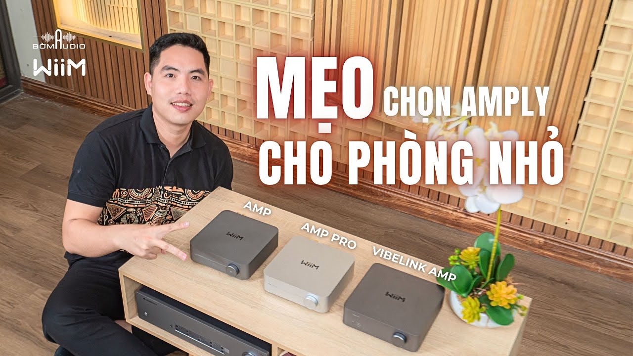 Sự Khác Biệt Của Wiim Amp - Pro - Vibelink Amp - Mẹo Chọn Amply Cho Phòng Nghe - Phân Khúc 11 Triệu