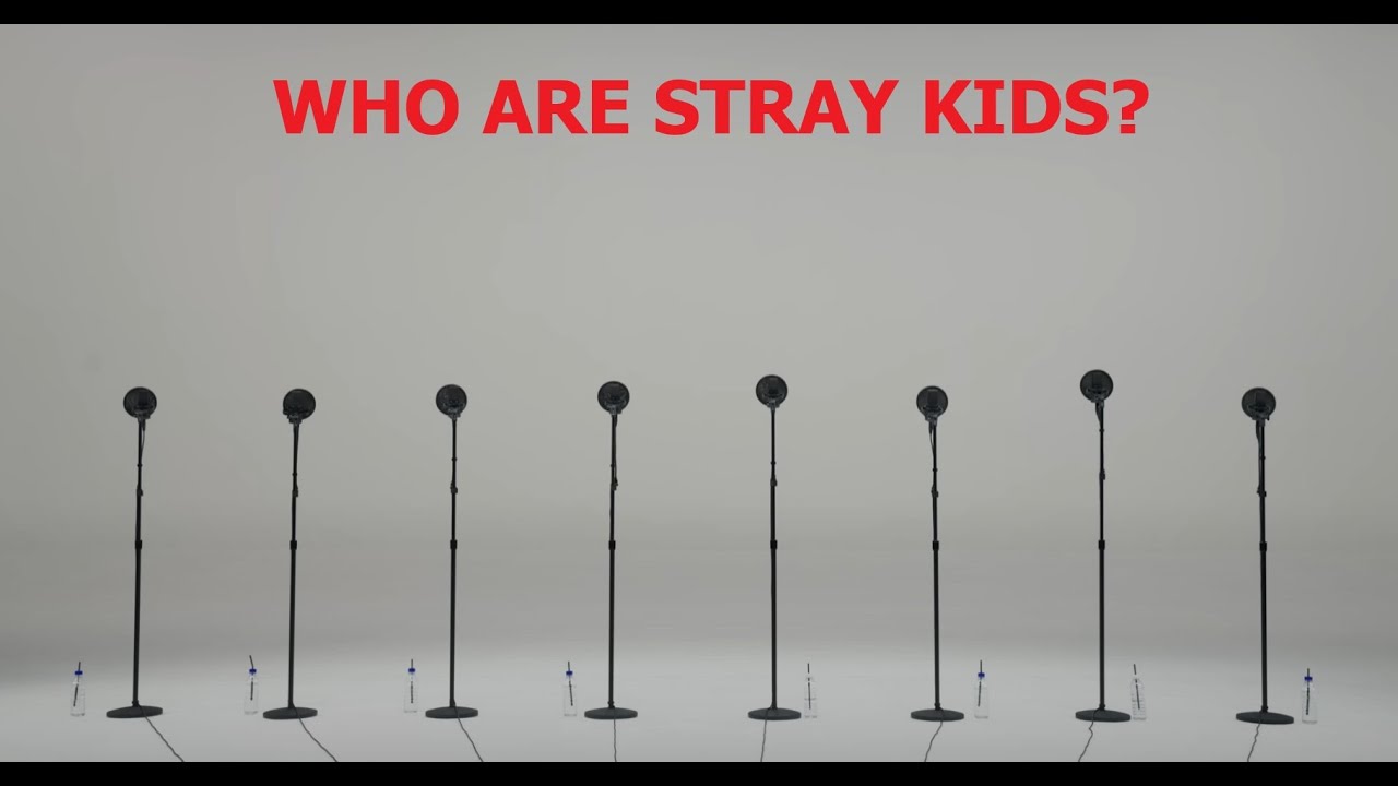 Stray Kids / Killing Voice / Dingo Music / !!REACTION!!
