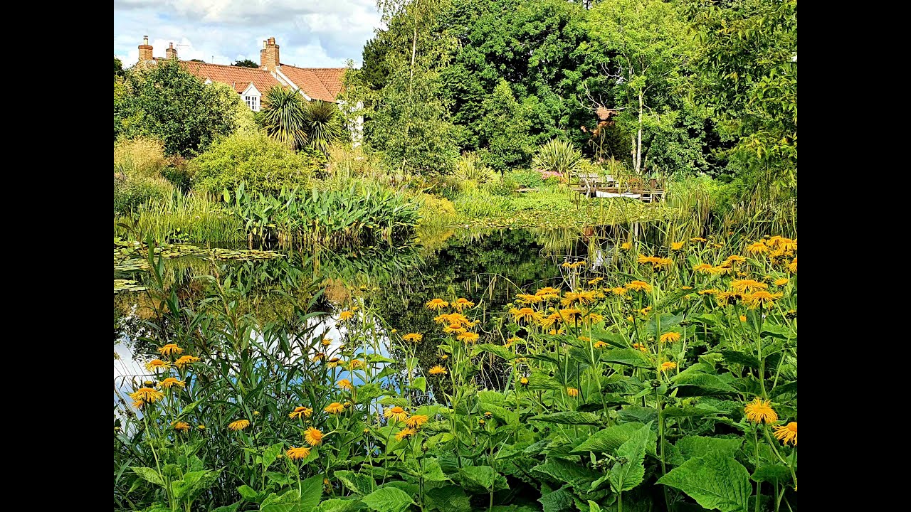 Dale Farm, Norfolk - National Garden Scheme