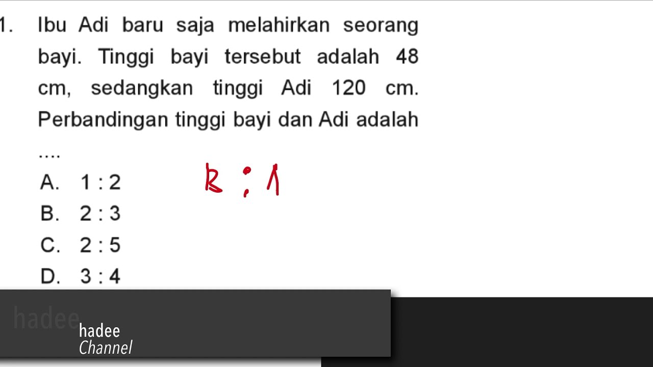 Tinggi bayi adalah 48 cm, tinggi Adi 120 cm. Perbandingan tinggi bayi dan Adi