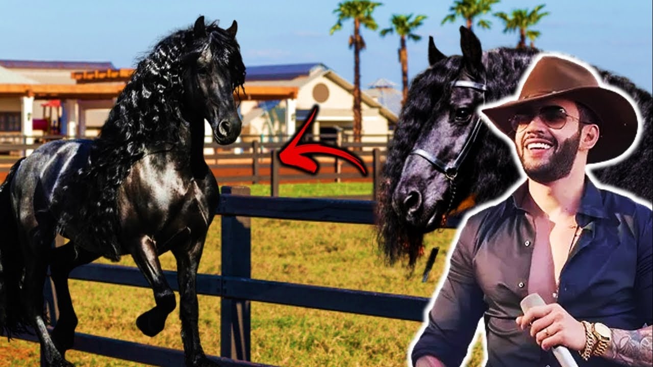 GUSTTAVO LIMA MOSTRA SEUS RAROS CAVALOS NO SEU NOVO HARAS POR MOTIVO ESPECIAL