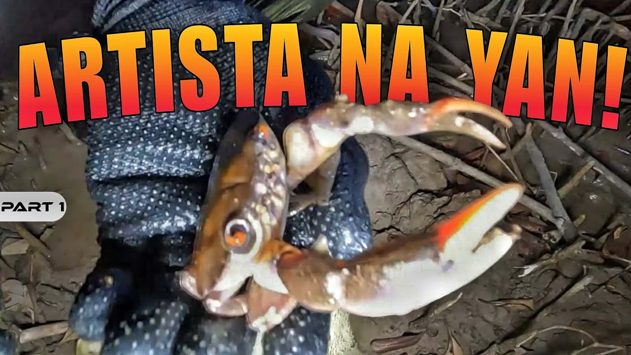 P1 - Nagpatay-Patayan ang Alimangong Bato