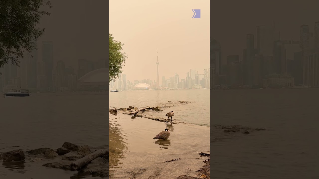 Toronto is choking: Wildfire smoke has created the world's worst air quality