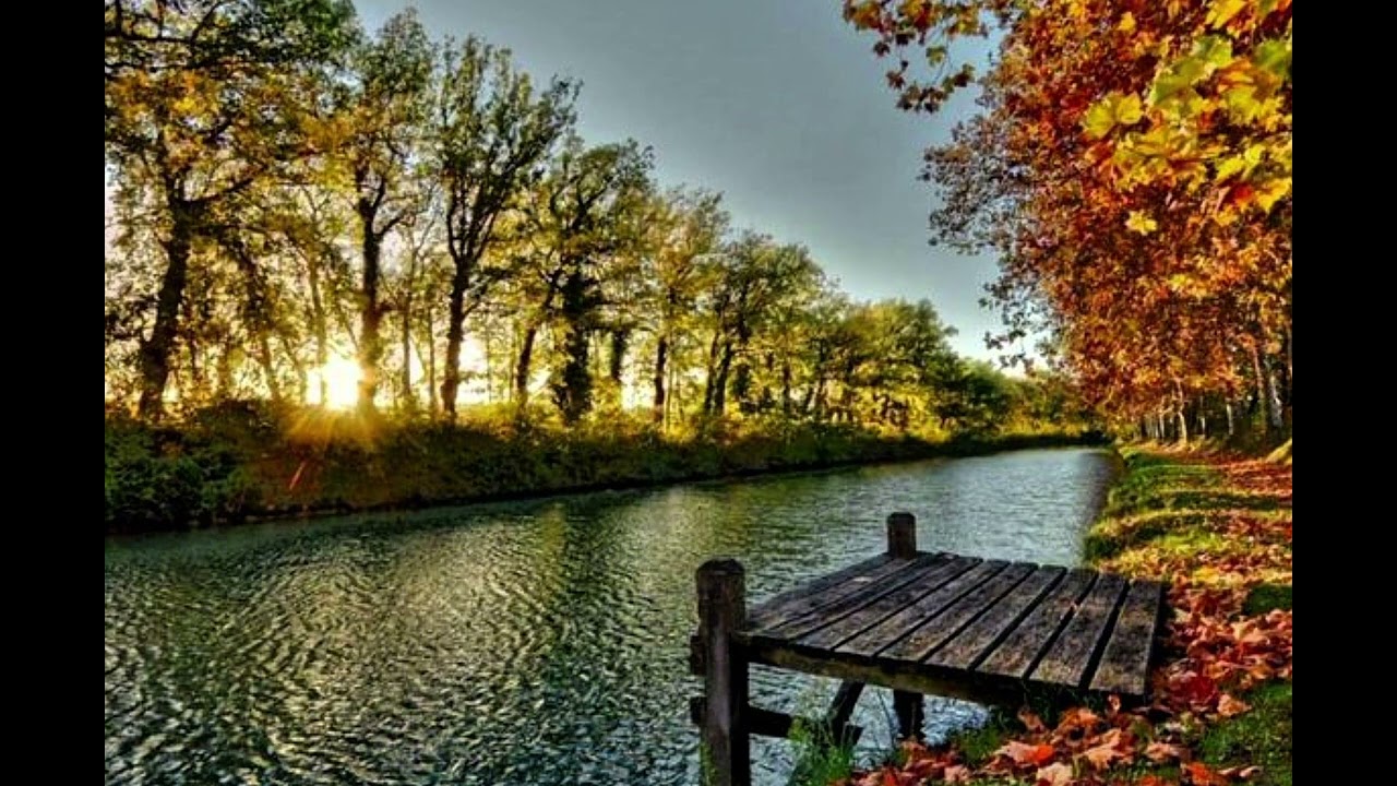 سورة يس ، سورة الرحمن ، سورة الواقعة ، سورة الملك     الشيخ ماهر المعيقلي 