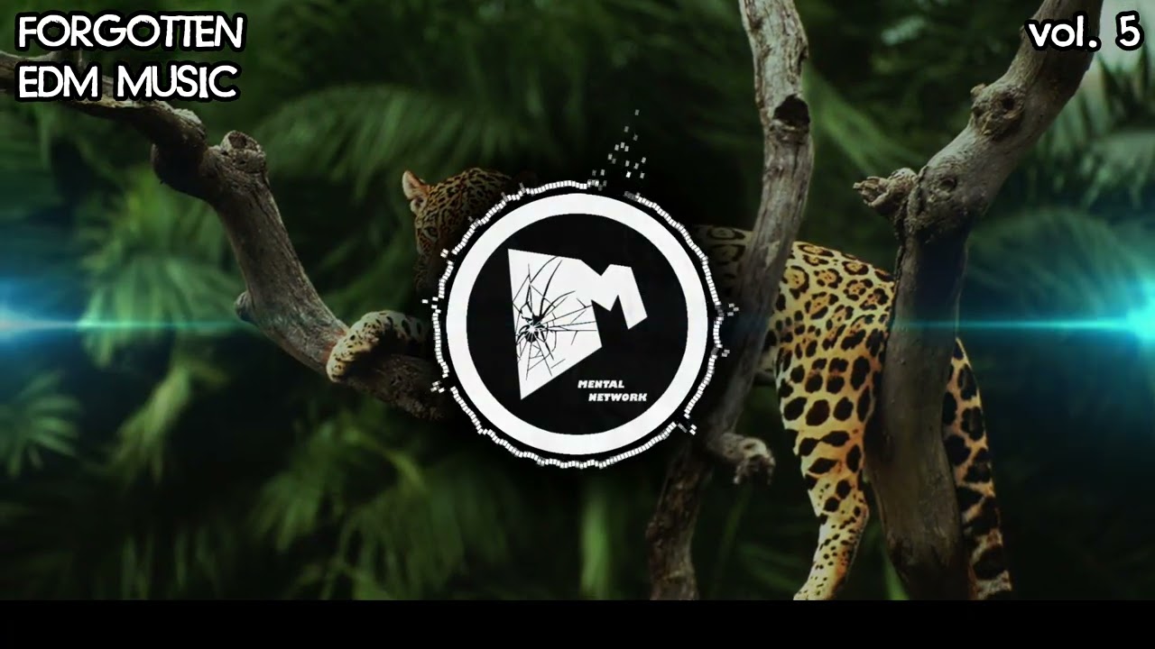 Forgotten EDM Music vol. 5 (Jungle Terror)
