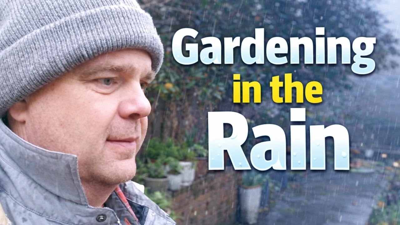 Gardening in the Pacific Northwest Rain | March seedling update & Garden Apron unwrapping.