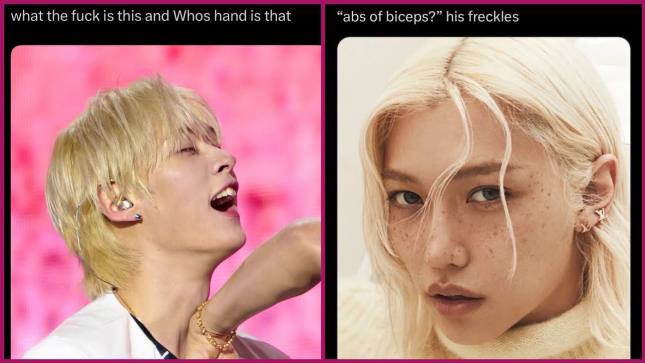 STRAY KIDS Memes only STAY's can UNDERSTAND!💜