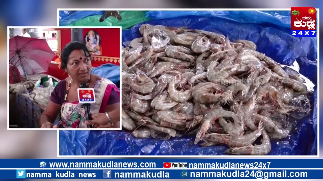 Namma Kudla news 24X7:Chemicals in Fish