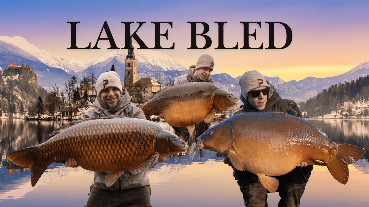 Weihnachten in Bled!