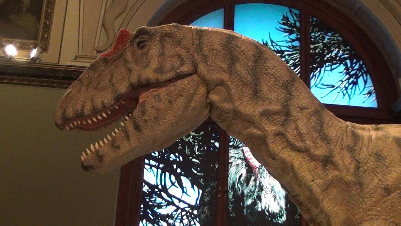 VIENNA, AUSTRIA Natural History Museum