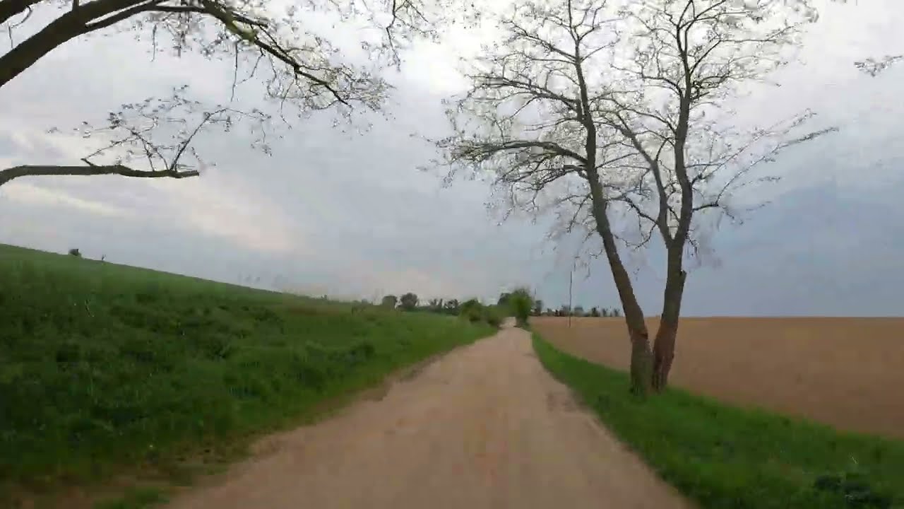 Trans Euro Trail Germany - Africa Twin RD07 052025
